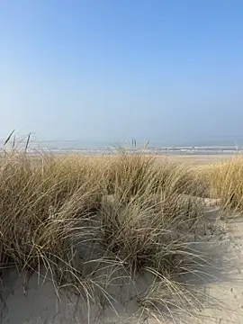 friemeldepiemel online show from March 2026 12:42:02 PM