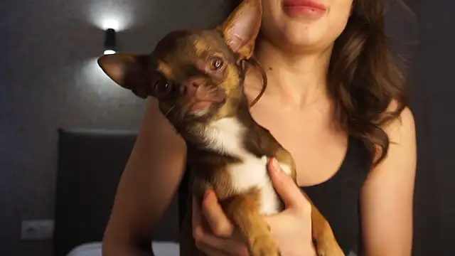 Snapshot of linclars chatting on March 2026 01:40:02 PM linclars online show from March 2026 01:40:02 PM