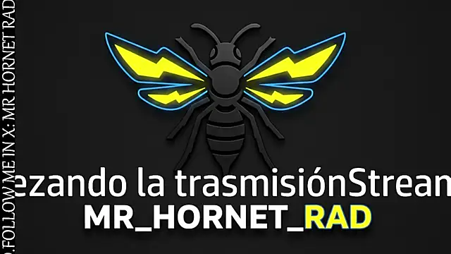 Snapshot of s_hornet chatting on April 2026 02:52:02 PM s hornet online show from April 2026 02:52:02 PM