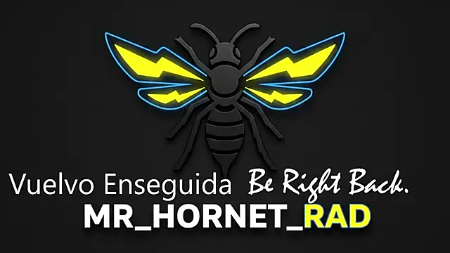 Snapshot of s_hornet chatting on May 2026 01:18:01 PM s hornet online show from May 2026 01:18:01 PM