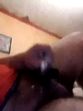 Snapshot of Robikabig20 chatting on March 2025 01:54:01 AM Robikabig20 online show from March 2025 01:54:01 AM