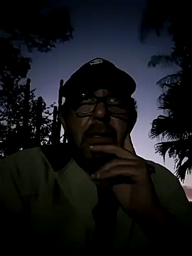 palmview2 online show from May 2026 03:40:01 PM