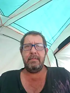 palmview2 online show from June 2026 05:42:01 AM