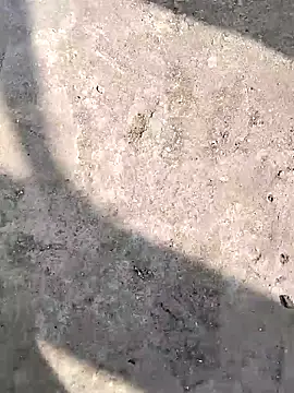 harsh07869 online show from February 2026 08:30:02 AM