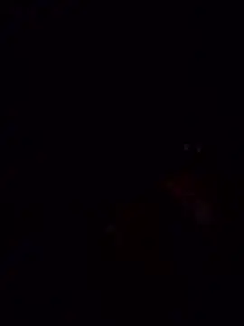 Snapshot of laperracobarde chatting on January 2026 05:07:02 PM laperracobarde online show from January 2026 05:07:02 PM