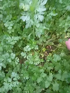 Happy sweet1 online show from February 2026 10:54:02 AM