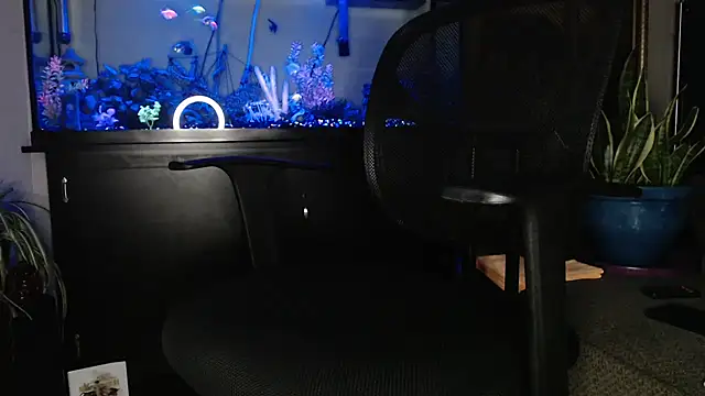 EspanolVato online show from May 2026 09:36:01 AM