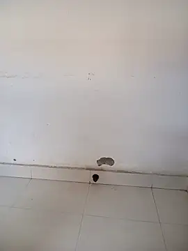 Sarita-school online show from February 2026 04:50:02 AM