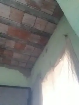 ferreirasantos123 online show from February 2026 11:35:02 AM