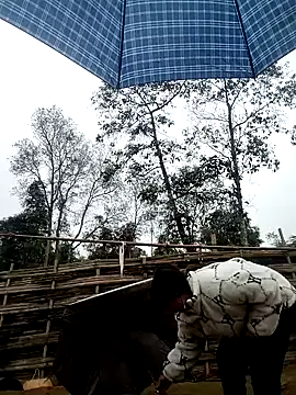 alycen online show from February 2026 01:37:02 AM