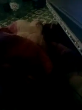 Snapshot of thich_lo chatting on March 2026 04:35:01 PM thich lo online show from March 2026 04:35:01 PM