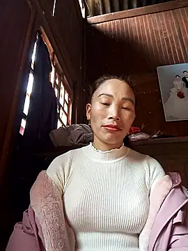 Nllpvp online show from January 2026 03:34:01 AM