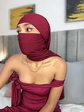 Snapshot of _Tariq chatting on February 2026 11:55:01 AM Tariq online show from February 2026 11:55:01 AM