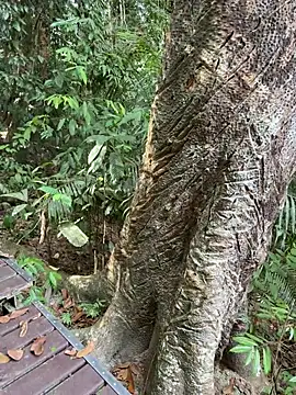 HOTLibertine online show from February 2026 08:29:02 AM