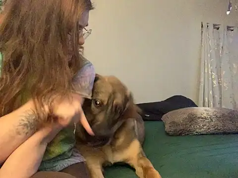 Snapshot of Intothewoodswego chatting on February 2026 01:29:02 AM Intothewoodswego online show from February 2026 01:29:02 AM