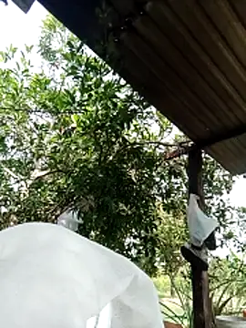 Snapshot of -Nicole-e chatting on February 2026 07:12:01 AM -Nicole-e online show from February 2026 07:12:01 AM