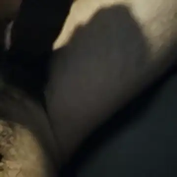 AnonymousTwinkie online show from March 2026 02:06:01 PM