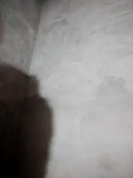 miray- online show from March 2026 05:50:02 PM