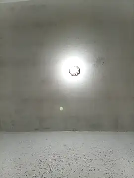 waltherworld online show from February 2026 12:48:02 AM