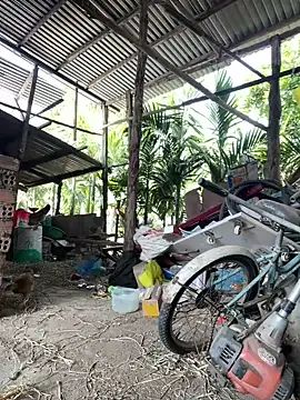 Ginny 2x online show from January 2026 04:27:01 AM