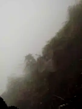 Snapshot of cdyyds-69 chatting on March 2026 01:55:02 AM cdyyds-69 online show from March 2026 01:55:02 AM