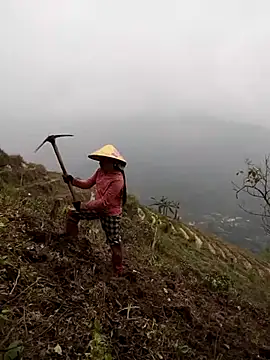 Snapshot of cdyyds-69 chatting on March 2026 02:50:01 AM cdyyds-69 online show from March 2026 02:50:01 AM