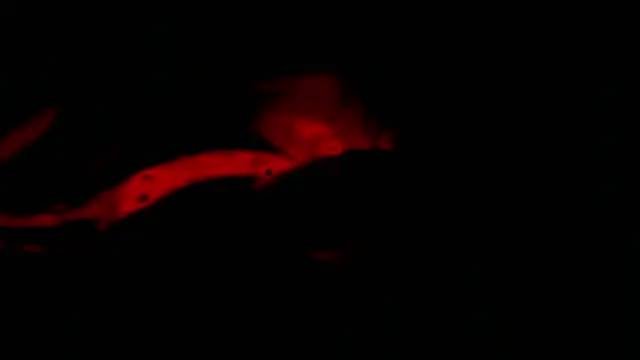 twink gabrielll online show from January 2026 02:28:01 AM