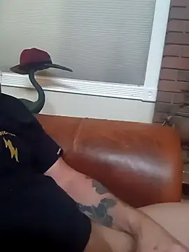 biswingcruiser online show from March 2026 04:26:01 PM