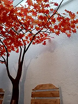 Snapshot of Dante_Knox chatting on March 2026 11:16:01 AM Dante Knox online show from March 2026 11:16:01 AM