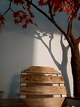 Snapshot of Dante_Knox chatting on March 2026 11:21:02 PM Dante Knox online show from March 2026 11:21:02 PM