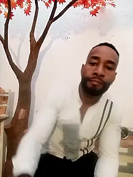 Dante Knox online show from May 2026 11:04:01 AM