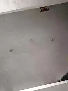 Mafiya0102 online show from January 2026 05:50:01 PM