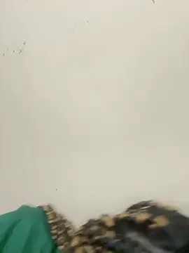 diosa sofia19 online show from April 2026 02:31:01 AM