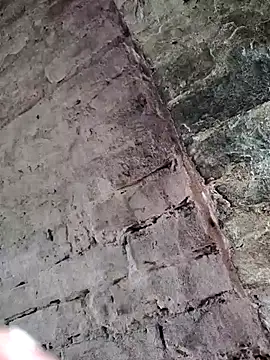 Shivanisingh4 online show from July 2026 01:41:01 AM
