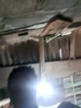 Pasivitoii online show from March 2026 08:01:02 PM