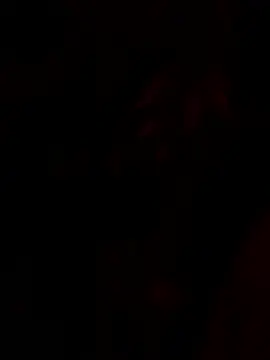 Snapshot of tropicalpied chatting on January 2026 04:38:02 AM tropicalpied online show from January 2026 04:38:02 AM