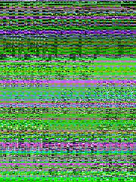 Charlotte-ee online show from March 2026 05:02:01 AM