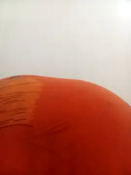 PatriciaVen online show from February 2026 04:16:02 AM