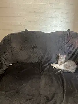 Snapshot of AlisRoxy chatting on February 2026 02:14:01 PM AlisRoxy online show from February 2026 02:14:01 PM