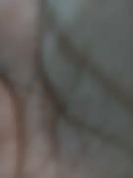 Pooja 67 online show from February 2026 09:02:02 AM