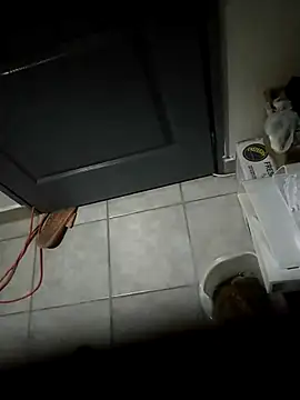 Punciprof online show from April 2026 09:31:02 PM