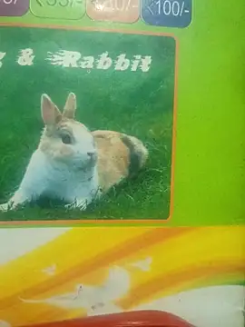 Lovable dude online show from March 2026 05:19:01 PM