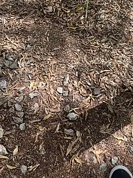 tyd247 online show from February 2026 11:36:02 PM