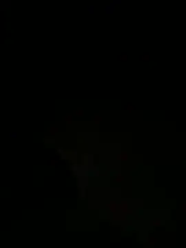 tyd247 online show from March 2026 03:11:01 PM