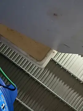 Snapshot of Puka2001 chatting on March 2026 03:40:01 PM Puka2001 online show from March 2026 03:40:01 PM