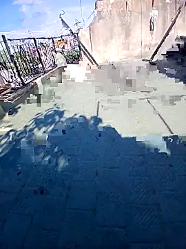 Luzz12 online show from March 2026 01:14:01 PM