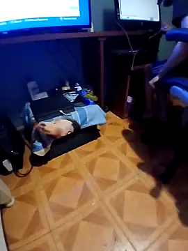 Luzz12 online show from March 2026 11:41:01 PM