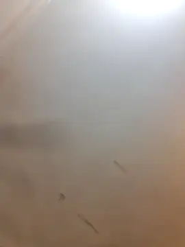 Cutytxx online show from February 2026 10:47:01 PM