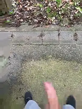 FrankdieSchwuchtel online show from March 2026 03:29:02 PM