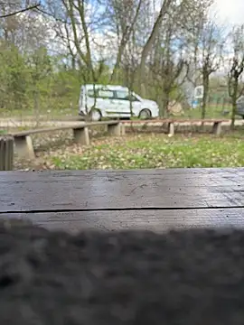 FrankdieSchwuchtel online show from March 2026 12:10:02 PM